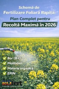Schemă de Fertilizare Foliară Rapiță: Plan Complet pentru Recoltă Maximă în 2026