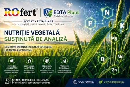 ROfert România: Ghid complet de nutriție vegetală și fertilizare foliară pentru producții ridicate în 2026