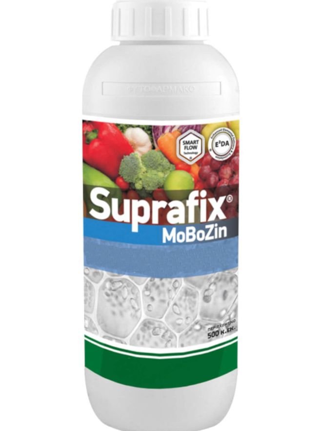 Pagina principala 12 Ashwagandha